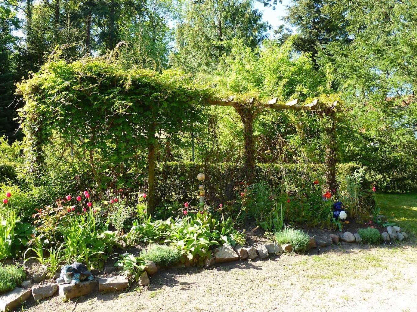 Ferienwohnung Villa Am Haussee Feldberger Seenlandschaft Εξωτερικό φωτογραφία