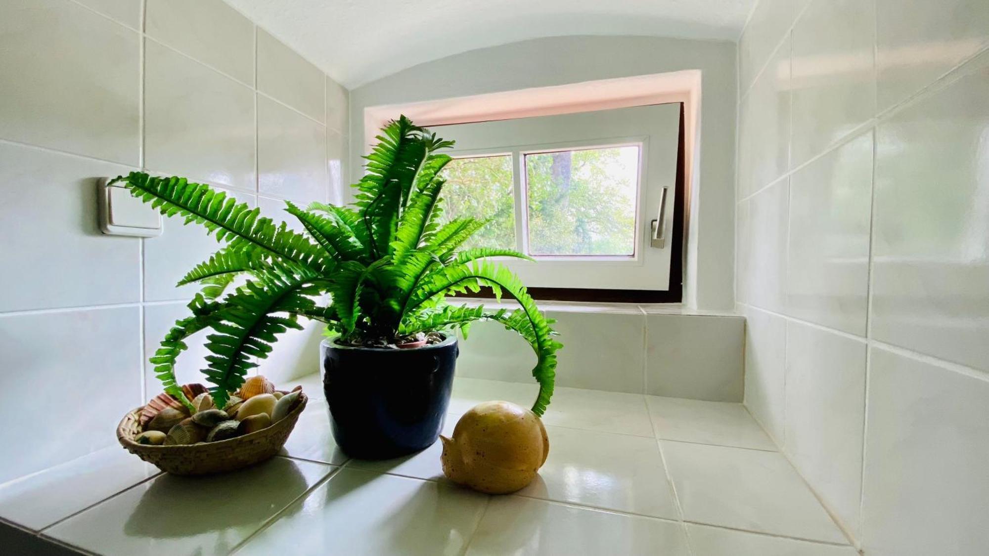 Ferienwohnung Villa Am Haussee Feldberger Seenlandschaft Εξωτερικό φωτογραφία