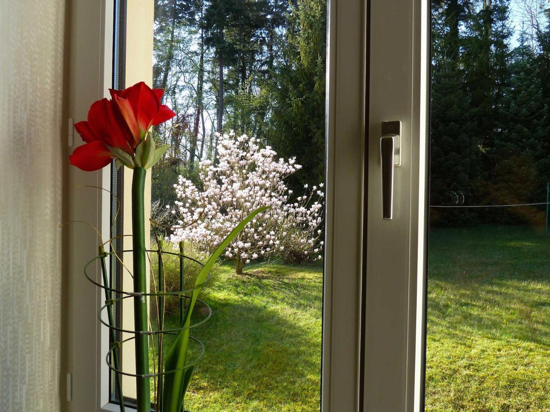 Ferienwohnung Villa Am Haussee Feldberger Seenlandschaft Εξωτερικό φωτογραφία